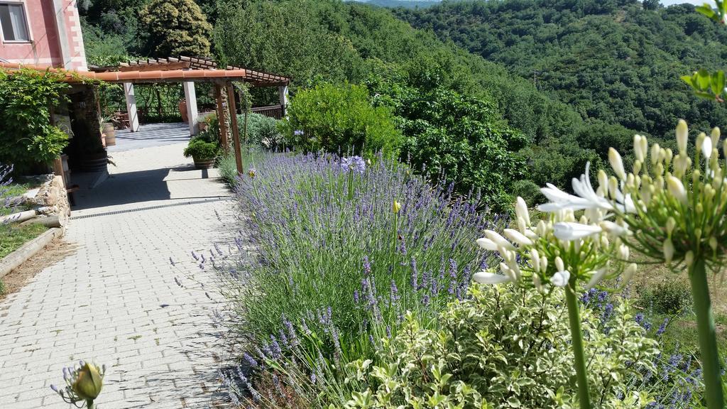 سيلي ليجور Agriturismo Gocce Di Luna المظهر الخارجي الصورة