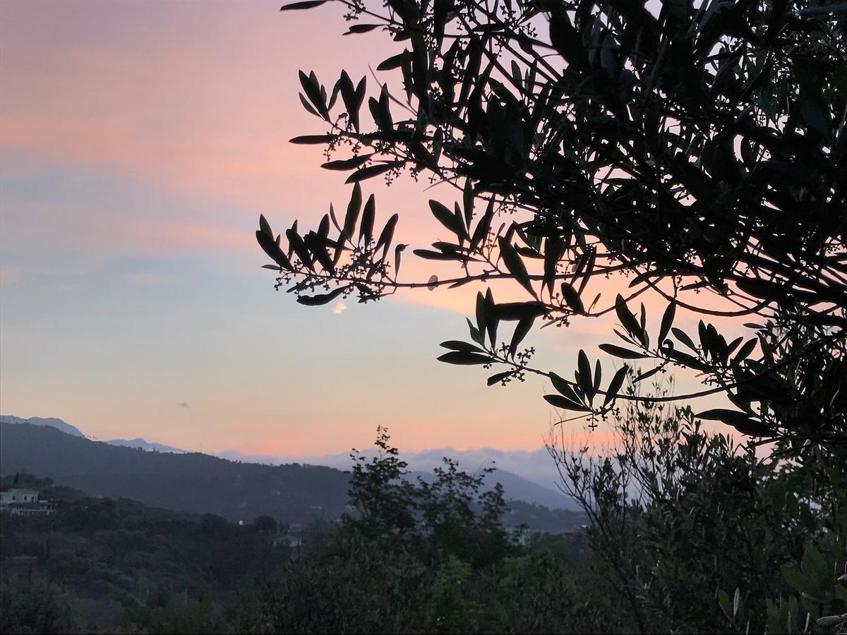 سيلي ليجور Agriturismo Gocce Di Luna المظهر الخارجي الصورة